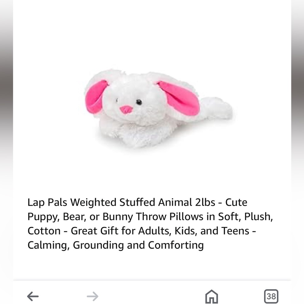 Weighted stuffed animal.  New